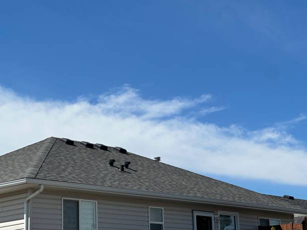 Roof Coating Services in Hamilton, TX